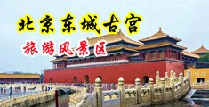 干骚逼视频免费看中国北京-东城古宫旅游风景区